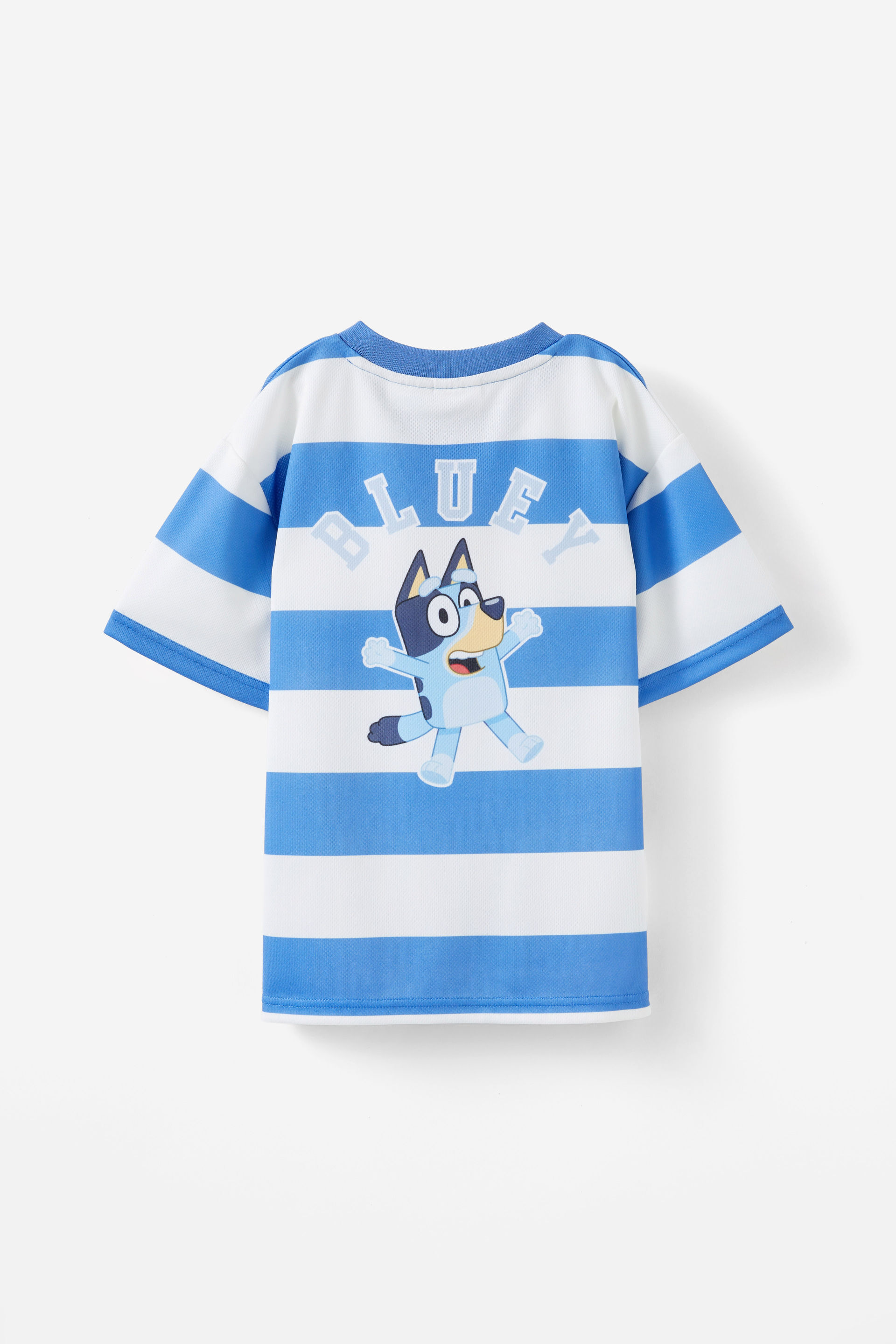 20443-bluey-sports-short-sleeve-tee-lcn-blu-vanilla-regatta-stripe-bluey-1.jpg