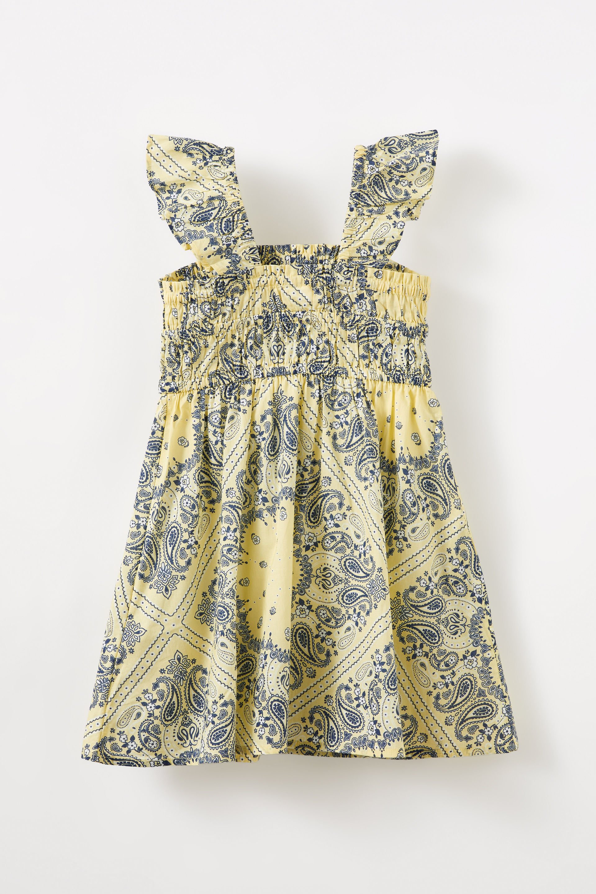 20987-frankie-flutter-sleeve-dress-baby-yellow-bandana-paisley-1.jpg
