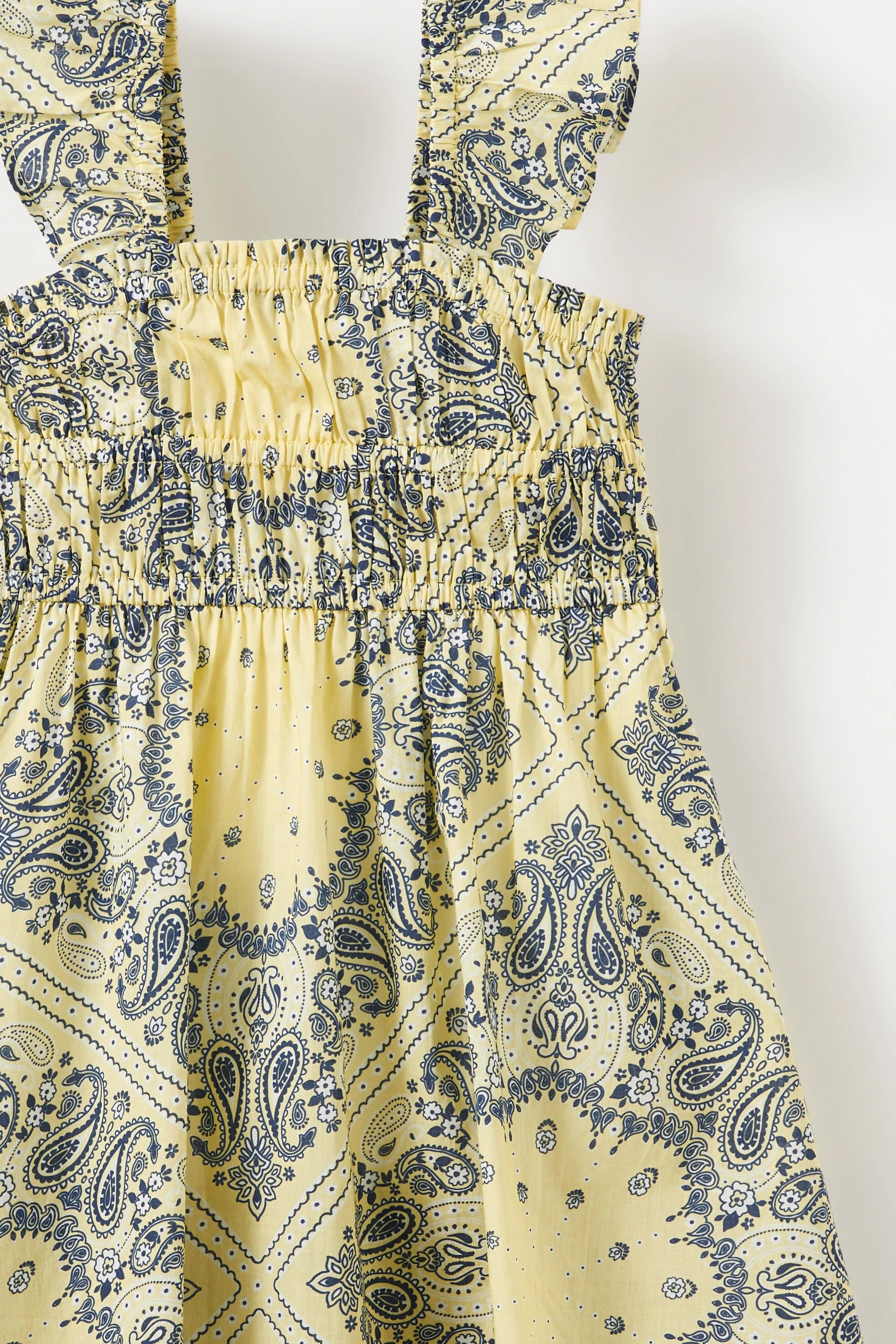 20987-frankie-flutter-sleeve-dress-baby-yellow-bandana-paisley-1.jpg