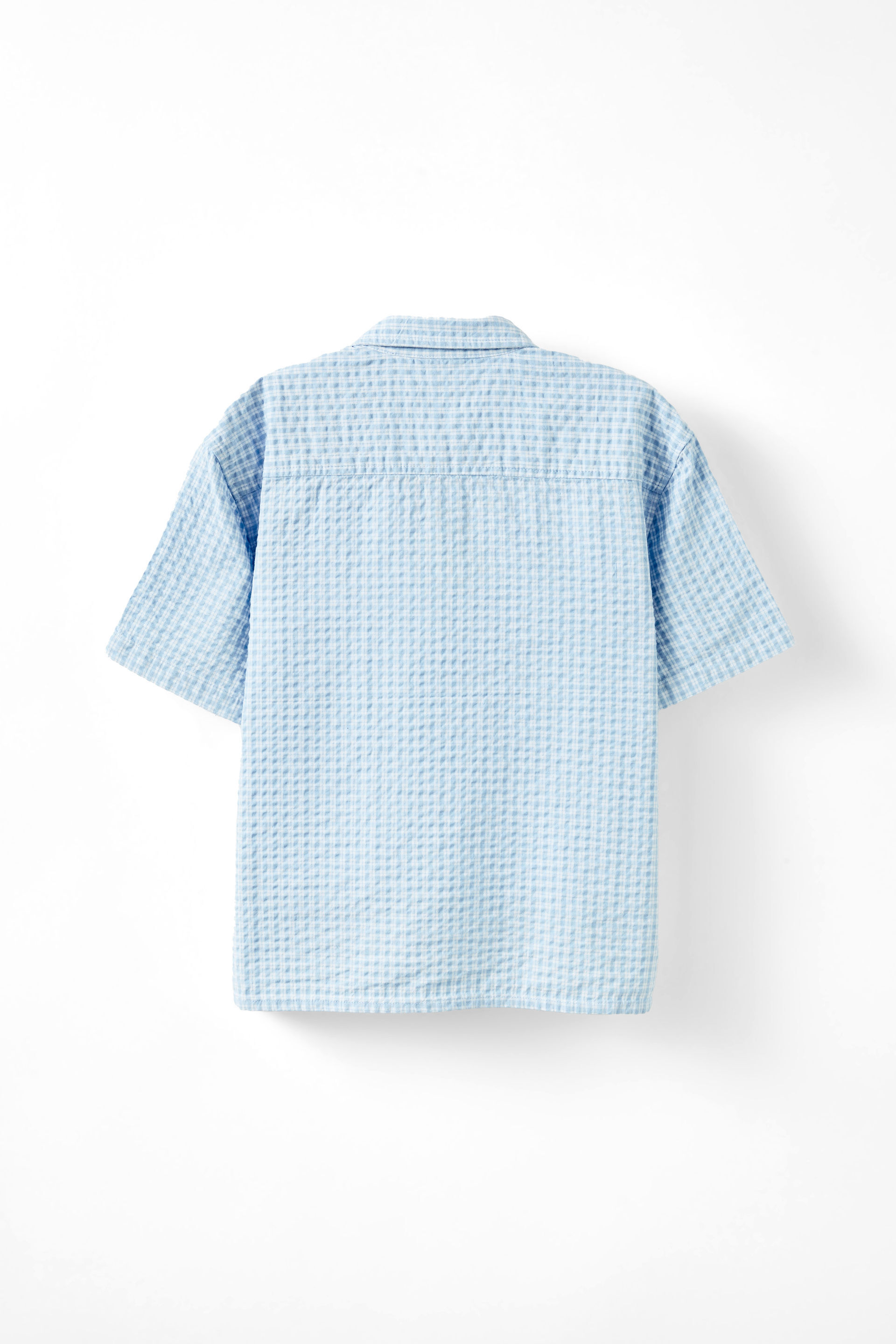 21072-carter-skate-shirt-dawn-blue-check-1.jpg