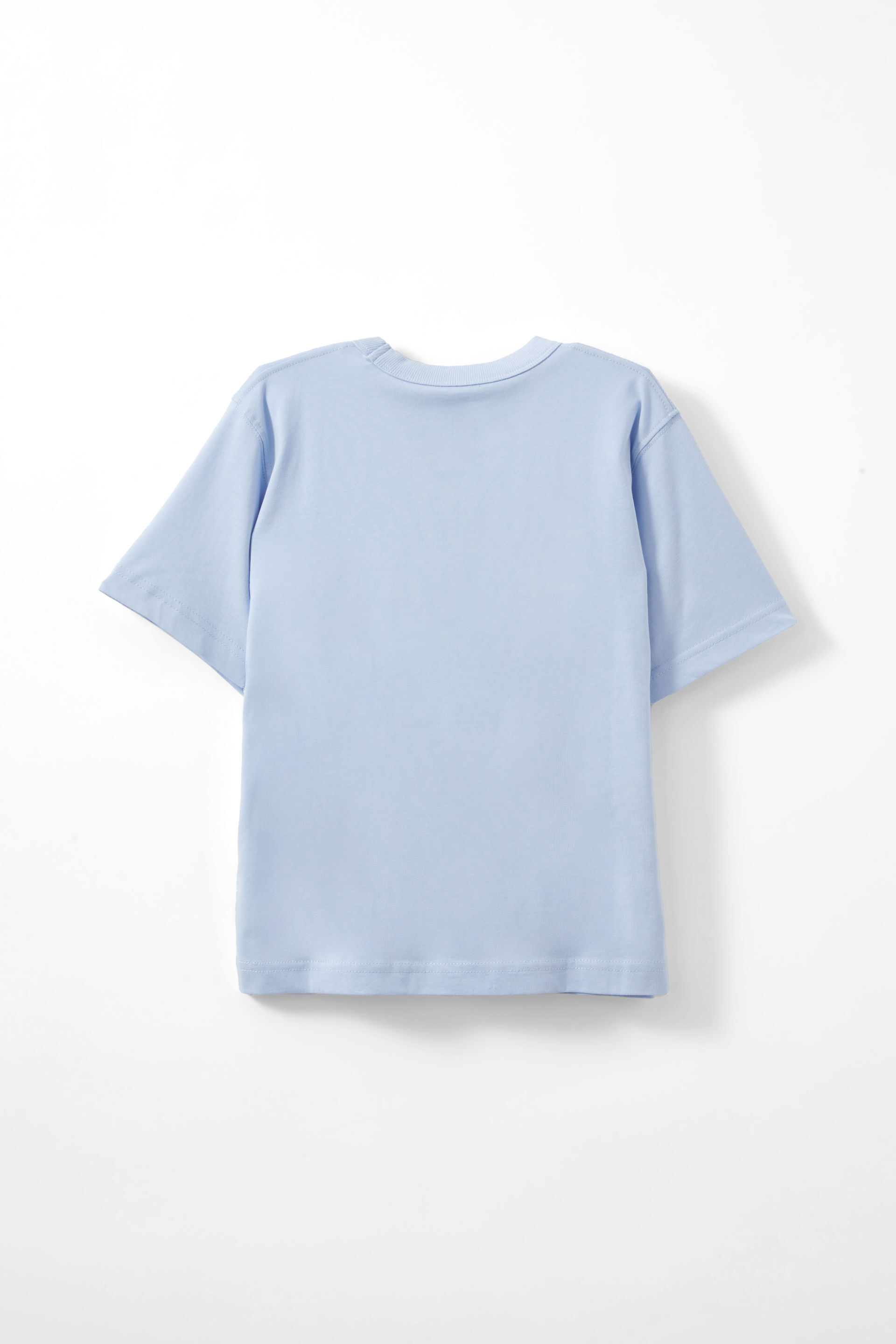 21231-poppy-oversize-graphic-print-tee-dawn-blue-sardines-1.jpg