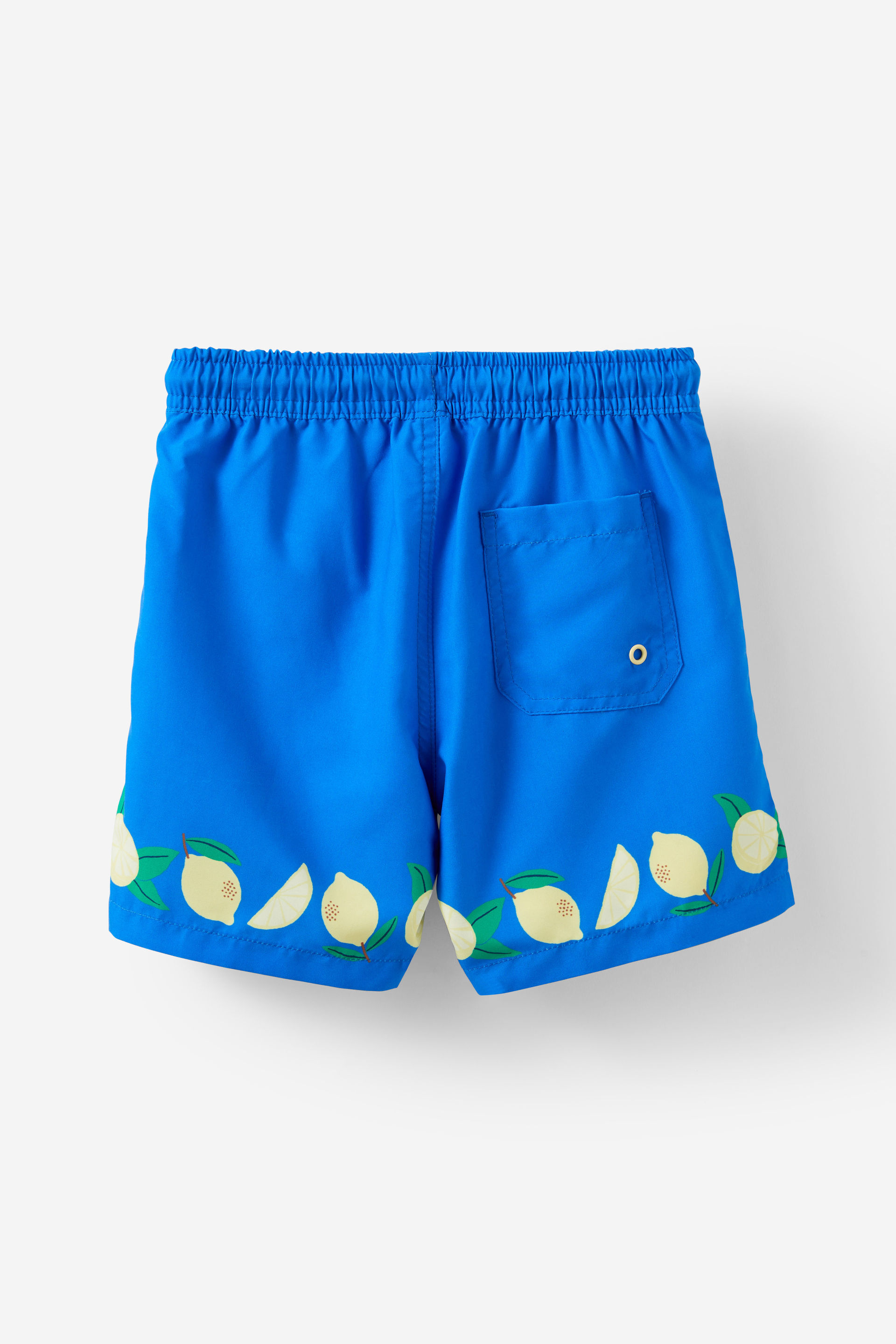 25006-bailey-board-short-harbor-blue-lemon-border-1.jpg