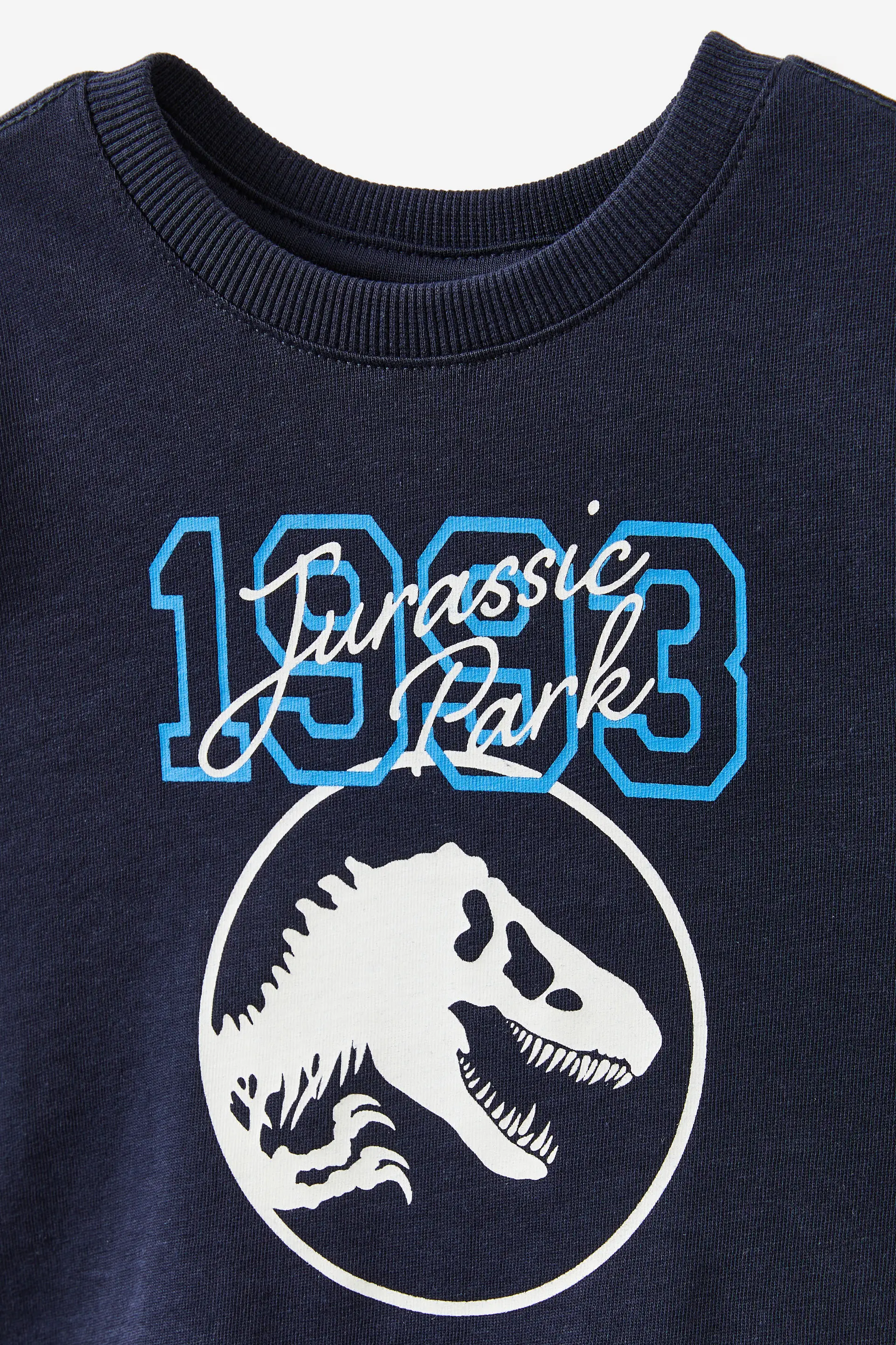 25460-jurassic-park-short-sleeve-graphic-print-tee-lcn-uni-navy-ink-jurassic-park-1.jpg
