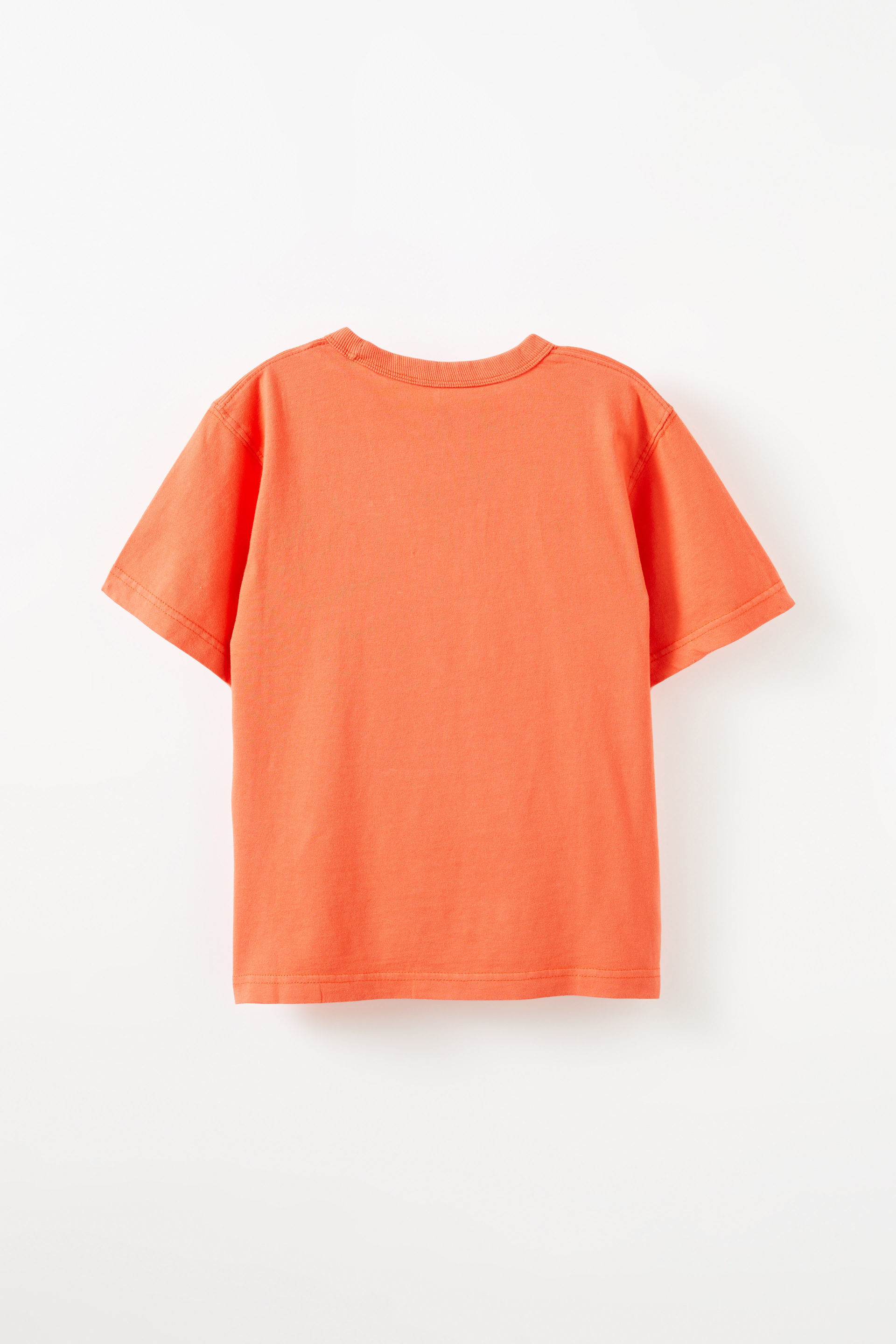 27350-jonny-short-sleeve-graphic-print-tee-chilli-pumpkin-wash-new-york-1.jpg