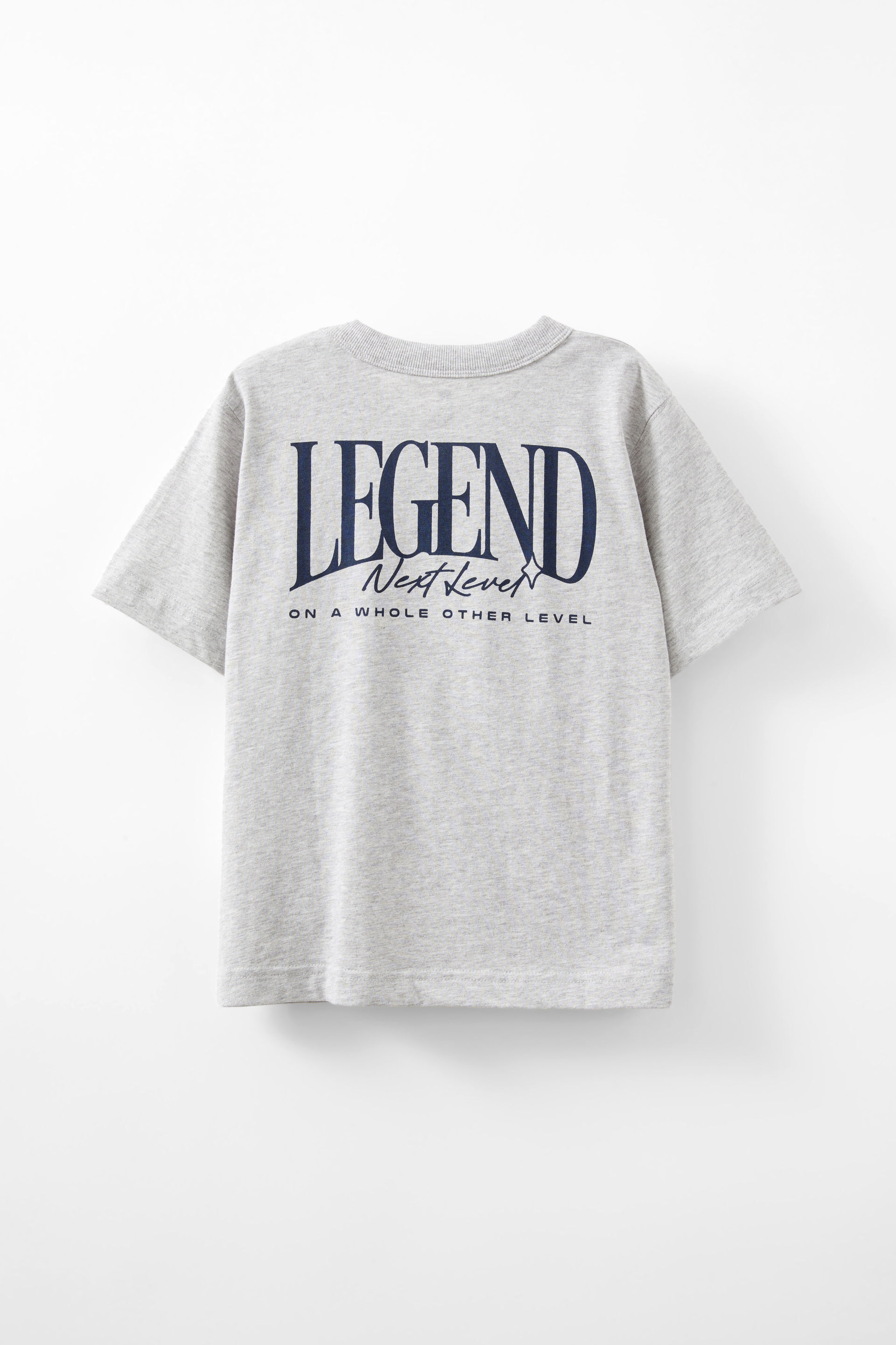 27446-jonny-short-sleeve-graphic-print-tee-grey-marle-legend-1.jpg