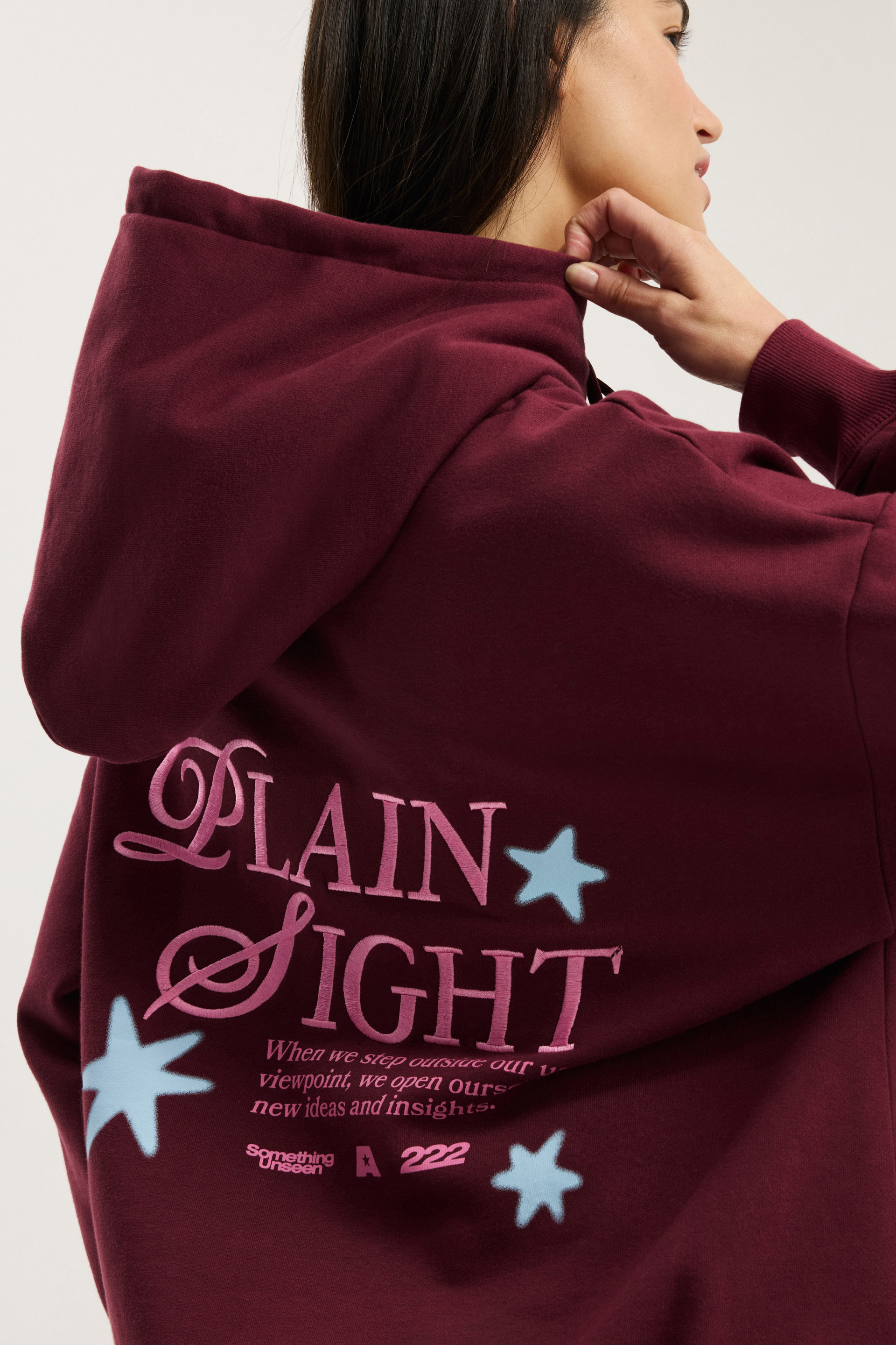 294-graphic-fleece-hoodie-plain-sight-sour-cherry-1.jpg