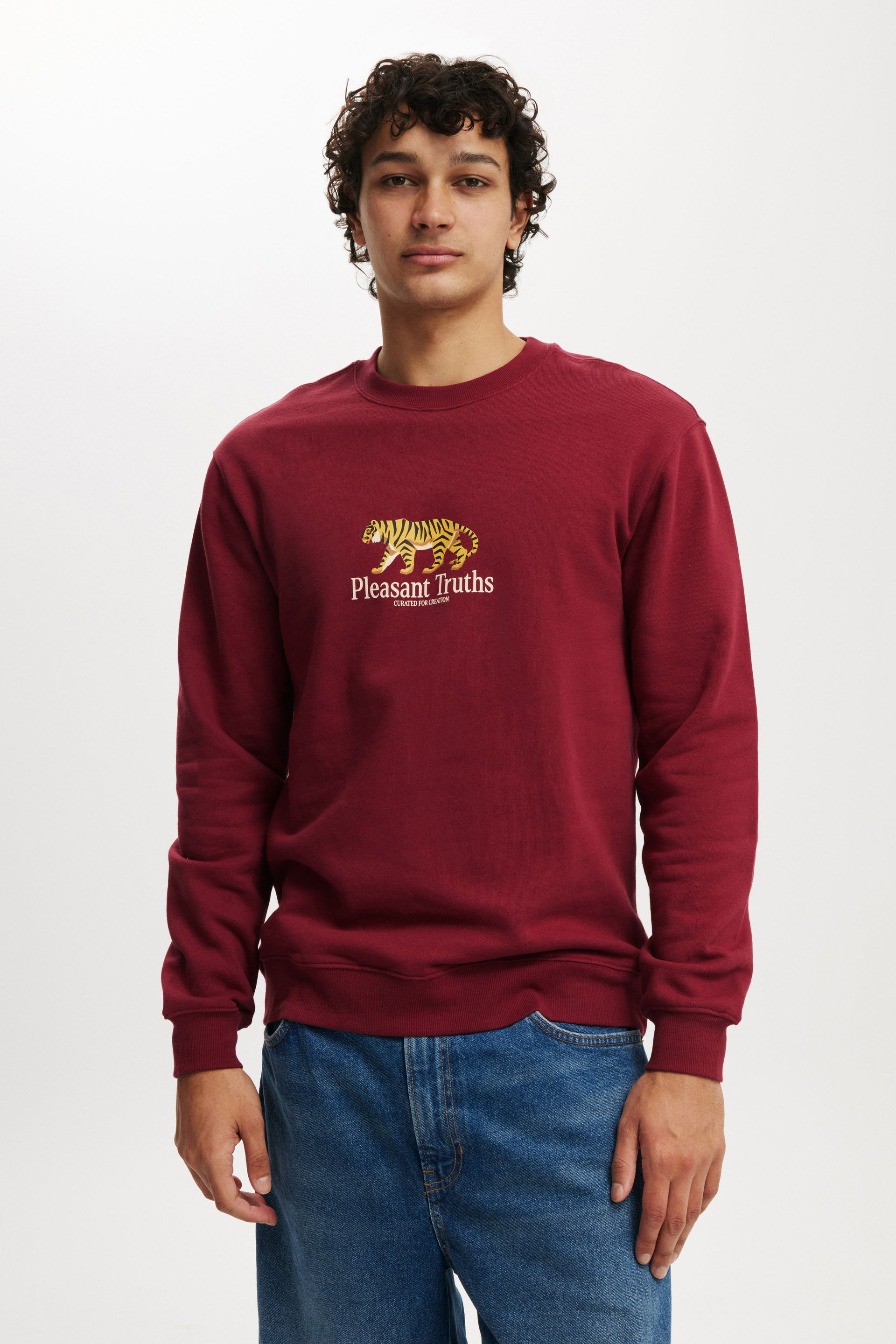 Graphic Crew Fleece crimson / plesant truths