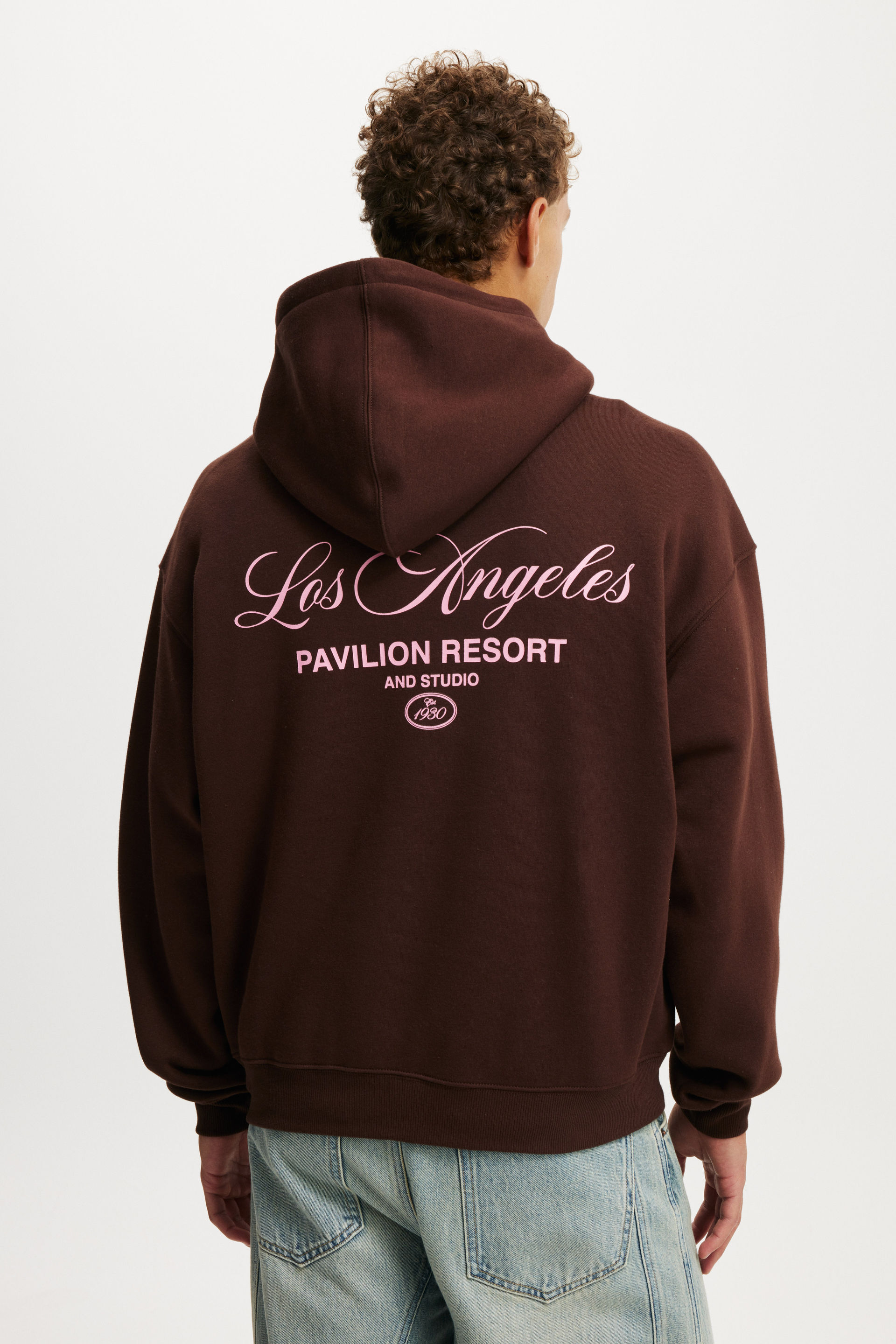 5659-box-fit-graphic-hoodie-dark-oak-pavillion-studio-1.jpg