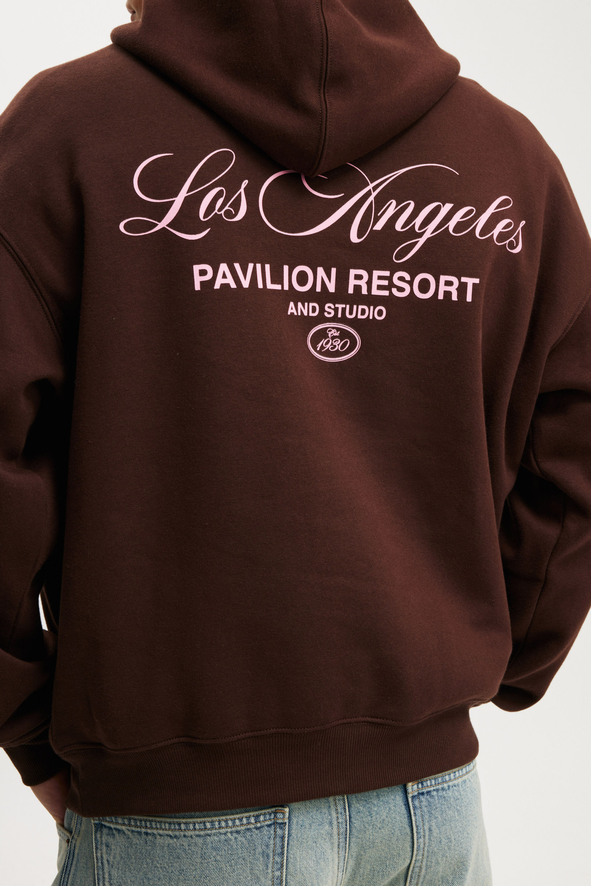 5659-box-fit-graphic-hoodie-dark-oak-pavillion-studio-1.jpg