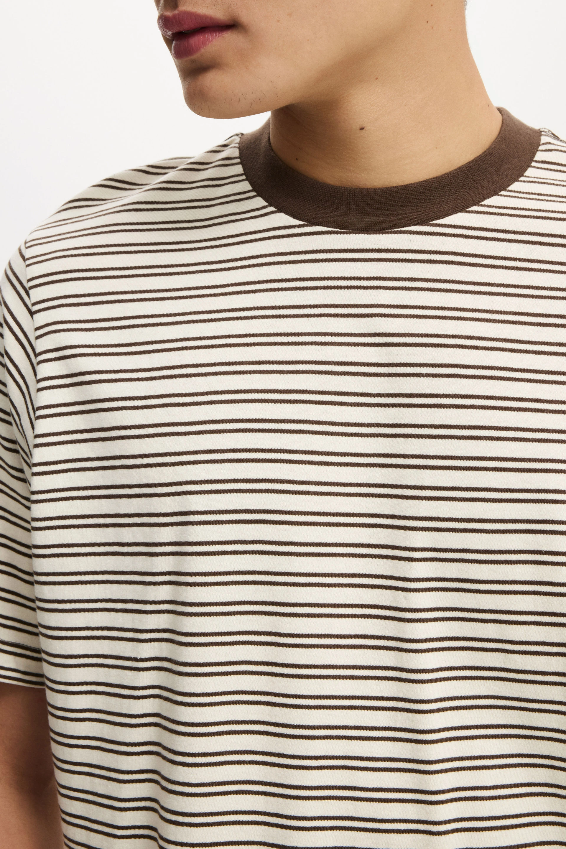 7255-cropped-fit-t-shirt-creampuff-ashen-brown-stripe-1.jpg